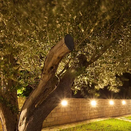 Lucija Bed & Breakfast